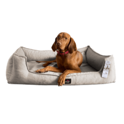 sca 14 beige scarlett melange hundebett tierlando 1.png
