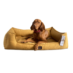 sca 55 senfgelb scarlett melange hundebett tierlando 1 3.png
