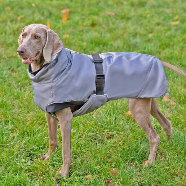 ivy hundemantel fleece wetterfest große hunde winterjacke hundeparka xl xxl xxxl | hundejacke