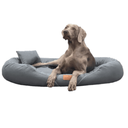 tif a 02 graphit tiffany couture tierlando orthopaedisches hundebett 1.png