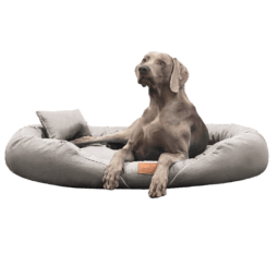 tif a 05 creme tiffany couture tierlando orthopaedisches hundebett 1.png