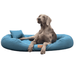 tif a 38 petrol tiffany couture tierlando orthopaedisches hundebett 1.png