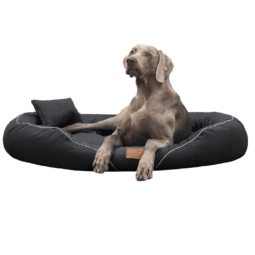 tif a 40 anthrazit tiffany couture tierlando orthopaedisches hundebett 1.png