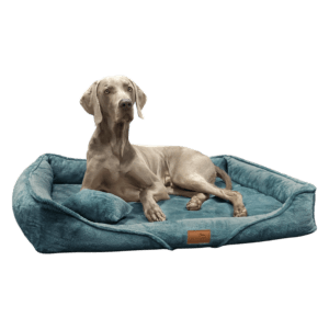 tyson orthopädisches hundebett