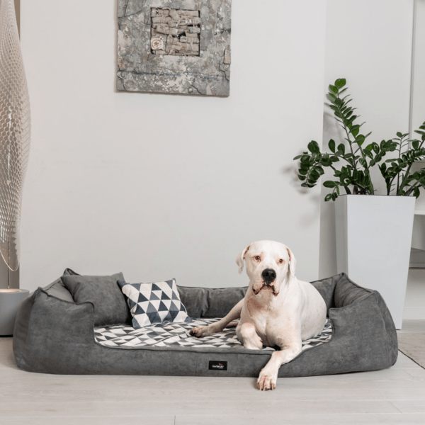 velvet samt orthopädisches hundebett