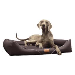 wil ll 01 braun william easy clean kunstleder hundebett tierlando 1 1.png