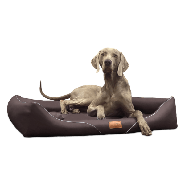 william easy clean orthopädisches hundebett