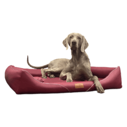 wil ll 04 dunkelrot william easy clean kunstleder hundebett tierlando 1 1.png