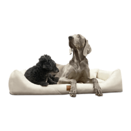 wil ll 05 creme william easy clean kunstleder hundebett tierlando 1.png
