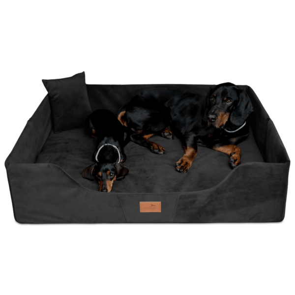 columbus orthopädisches hundebett für reisen und urlaub