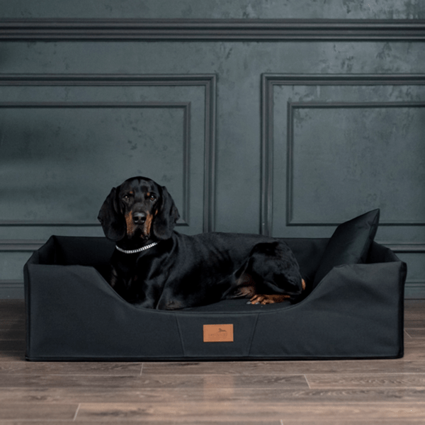 columbus orthopädisches hundebett für reisen und urlaub