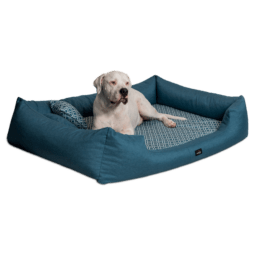ellen orthopädisches hundebett
