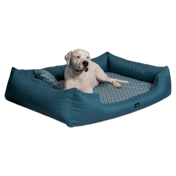 ellen orthopädisches hundebett