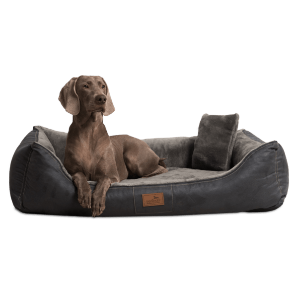 floyd velours plüsch orthopädisches hundebett