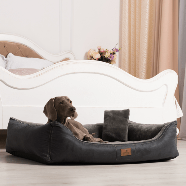 floyd velours plüsch orthopädisches hundebett