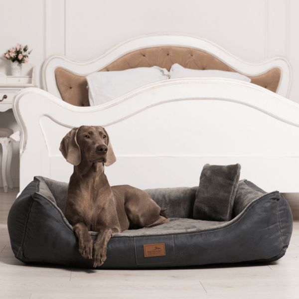 floyd velours plüsch orthopädisches hundebett