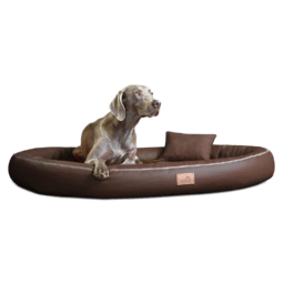glb tl 01 braun gilbert orthopaedisches hundebett tierlando kunstleder 2.png