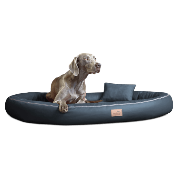 gilbert vip orthopädisches hundebett