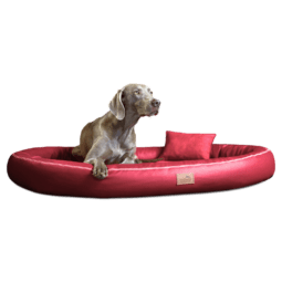 glb tl 04 dunkelrot gilbert orthopaedisches hundebett tierlando kunstleder 2 1.png