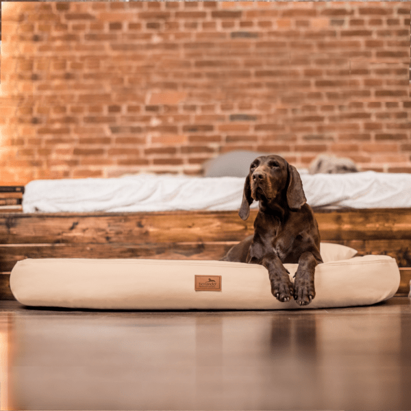 gilbert vip orthopädisches hundebett