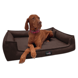 gus 01 braun gustav tierlando orthopaedisches hundebett 1.png