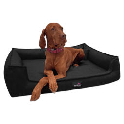 gus 03 schwarz gustav tierlando orthopaedisches hundebett 1.png