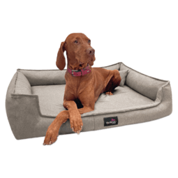 gus 05 creme gustav tierlando orthopaedisches hundebett 1.png