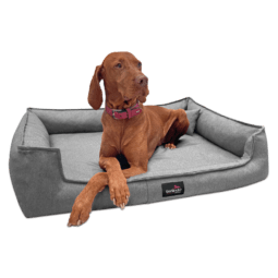 gustav orthopädisches hundebett