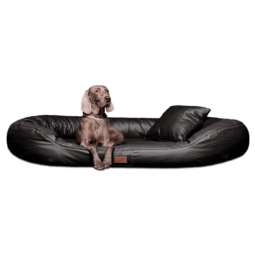 le ll 03 schwarz lennart easy clean kunstleder orthopaedisches hundebett tierlando 1 1.png