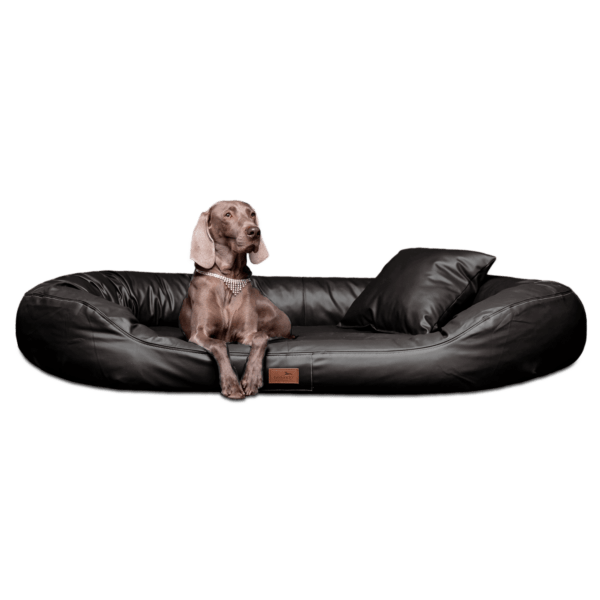 lennart easy clean orthopädisches hundesofa