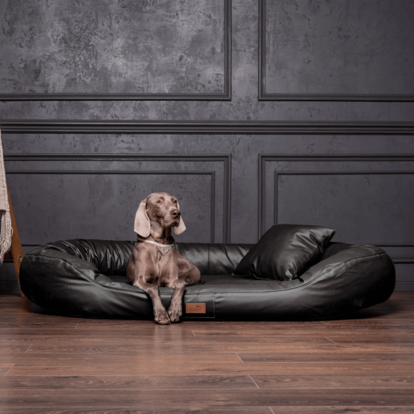 lennart easy clean orthopädisches hundesofa