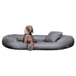 le ll 06 grau lennart easy clean kunstleder orthopaedisches hundebett tierlando 1.png