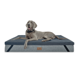 ortho topper high tech velours | orthopädische hundematratzenauflage waschbar