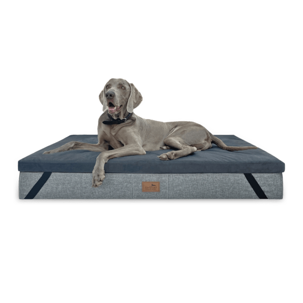 ortho topper high tech velours | orthopädische hundematratzenauflage waschbar
