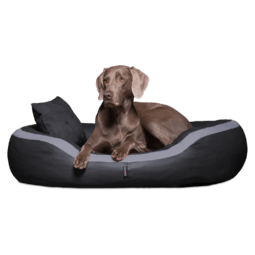 pe l 02 graphit pepper kunstleder tierlando orthopaedisches hundebett 1.png