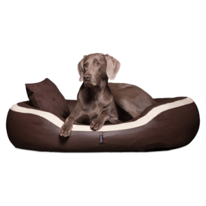 pepper easy clean orthopädisches hundebett
