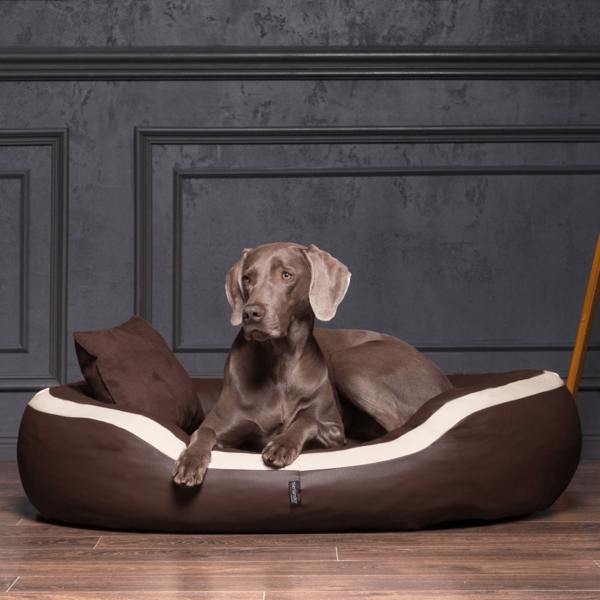 pepper easy clean orthopädisches hundebett