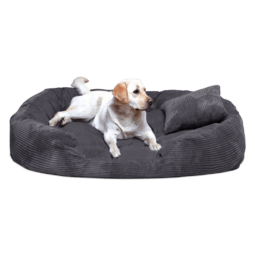 philip soft cord velours 110 140 170cm xl xxl xxxl hundesofa | hundebett