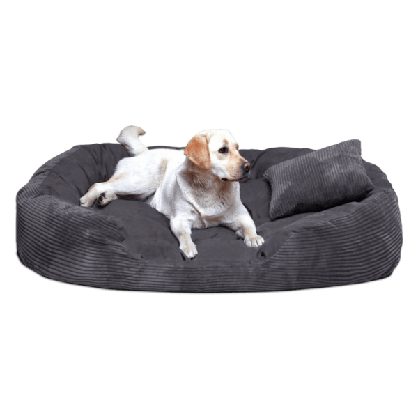 philip soft cord velours 110 140 170cm xl xxl xxxl hundesofa | hundebett