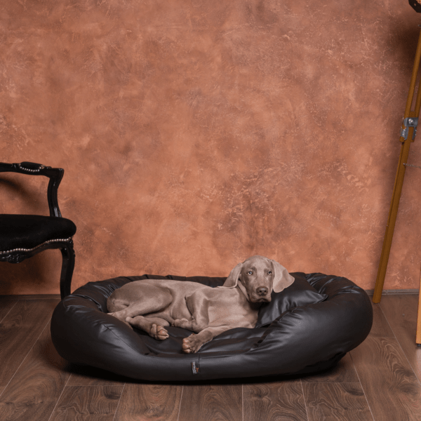 philip anti haar kunstleder 110 140 170cm xl xxl xxxl | hundebett