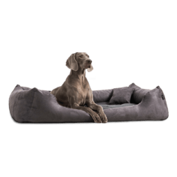 plv 02 graphit hundebett pluto orthopaedisches hundebett tierlando 1.png