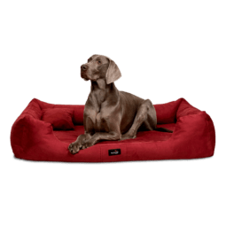 plv 04 dunkelrot hundebett pluto orthopaedisches hundebett tierlando 1.png