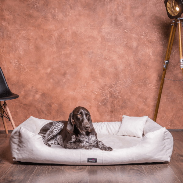 pluto soft orthopädisches hundebett
