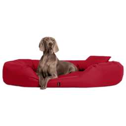 sammy | robustes polyester dicke umrandung | hundebett