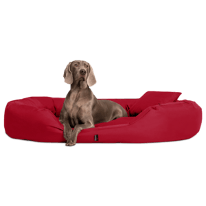 sammy | robustes polyester dicke umrandung | hundebett