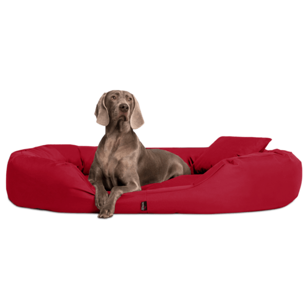 sammy | robustes polyester dicke umrandung | hundebett