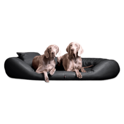 sv ll 02 graphit sammy easy clean kunstleder orthopaedisches hundebett tierlando visco 1.png