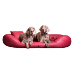 sv ll 04 dunkelrot sammy easy clean kunstleder orthopaedisches hundebett tierlando visco 1.png