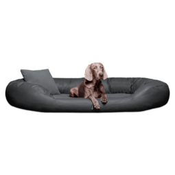 sammy vip orthopädisches hundebett