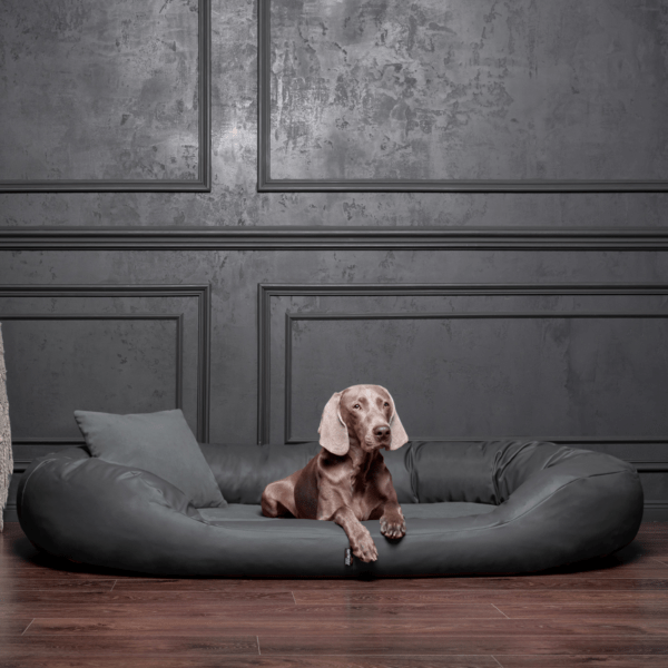 sammy vip orthopädisches hundebett